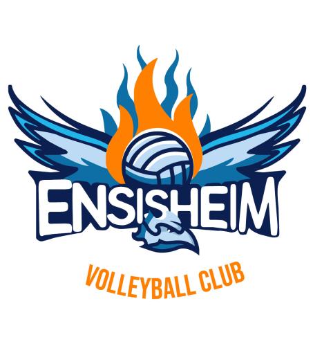 Logo Volley Ball Club ENSISHEIM