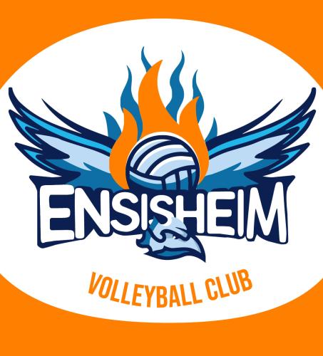 Logo Volley Ball Club ENSISHEIM